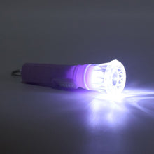 Mini LED Flashlight Keychain Torch (Mix Color & 1 Pc) - kongkits.com