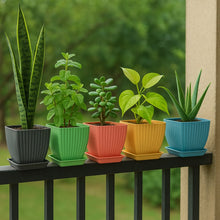 Trendy Square Plastic Flower Pots Set of 5 - kongkits.com