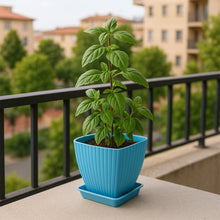 Trendy Square Plastic Flower Pots Set of 5 - kongkits.com